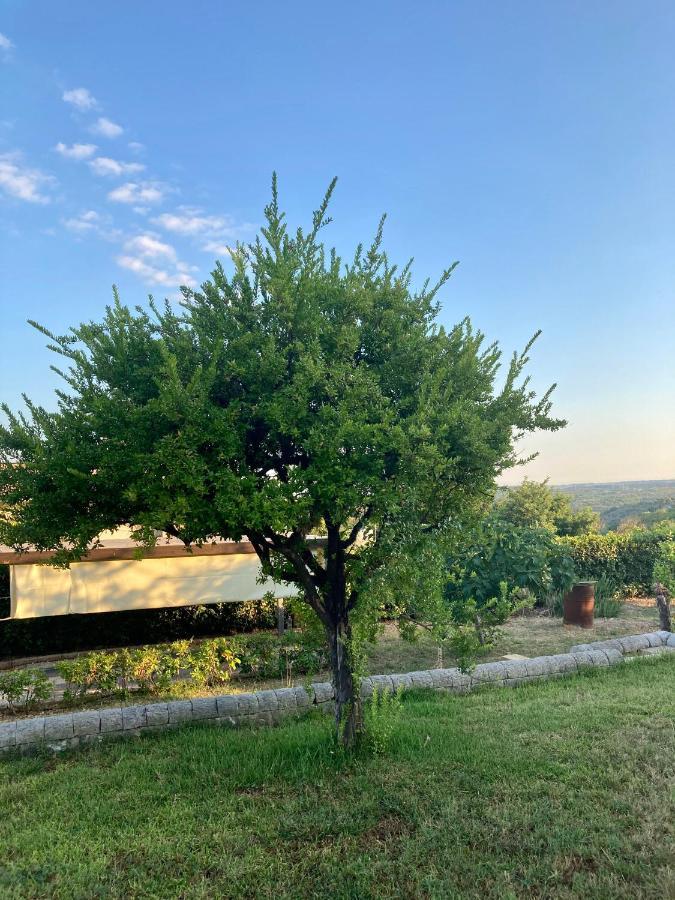 Villa Mara B&B Noto Extérieur photo