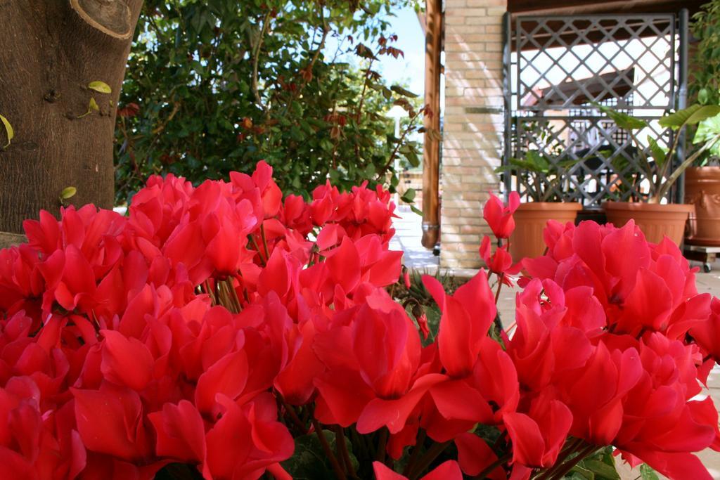 Villa Mara B&B Noto Extérieur photo