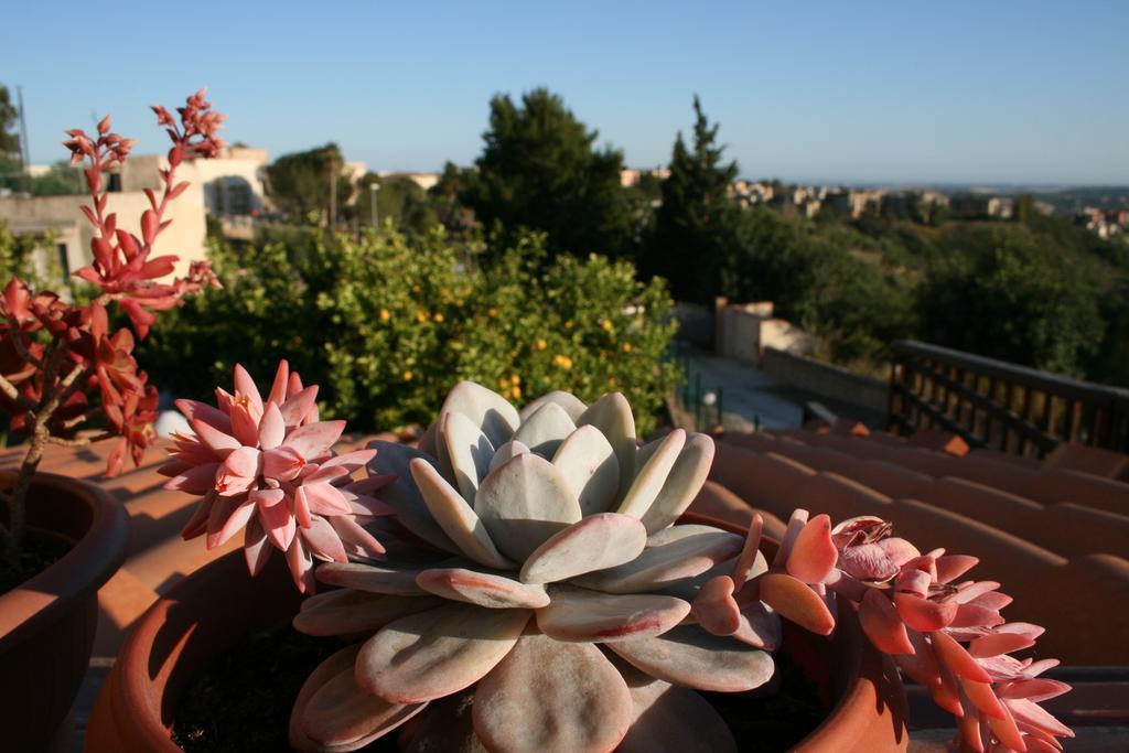 Villa Mara B&B Noto Extérieur photo